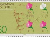 Leyes Mendel bases sorteo genético