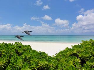 Analizarán impacto cambio climático industria turística del Caribe insular