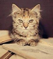 ¡Estoy de vuelta!