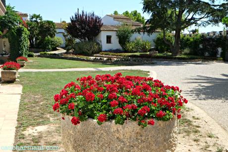 Lugares con encanto planes con encanto Barcelona en familia Can Bas Dominio vinicola enoturismo penedes