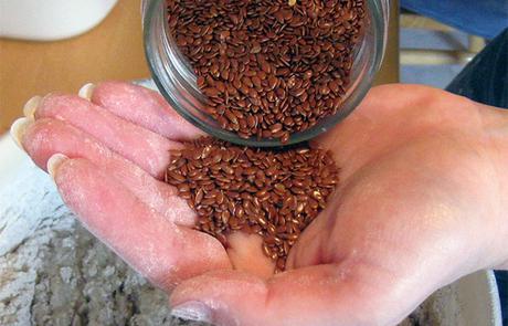 10 razones importantes para elegir alimentos ecológicos semillas-de-lino-en-mano