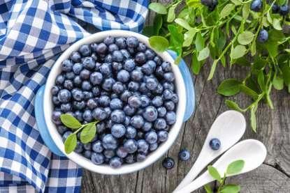 10 razones importantes para elegir alimentos ecológicos Blueberry