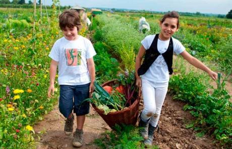 10 razones importantes para elegir alimentos ecológicos ninos_campo_1