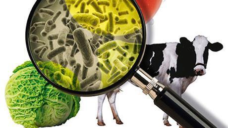 10 razones importantes para elegir alimentos ecológicos antibioticos