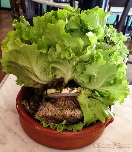 lechuga fresca El sortidor de la Filomena Pages Baco y Boca