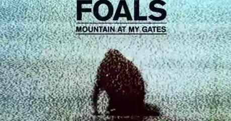 FOALS