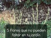 flores pueden faltar jardin