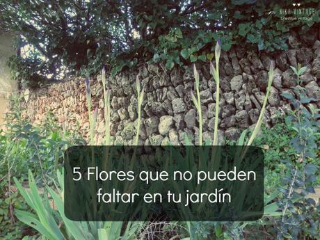 jardin, flores, plantar, jardineria, flores impresindibles, iris, margarita, lirio, hibisco, amarillis,lantana