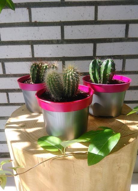 DIY: Maceta neón para cactus