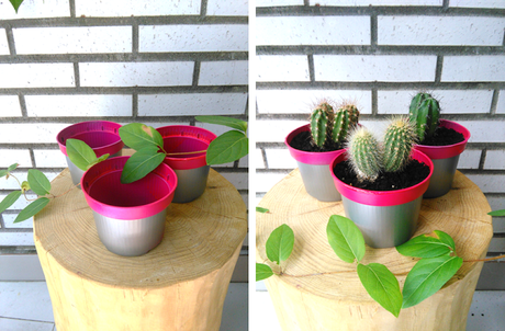 DIY: Maceta neón para cactus