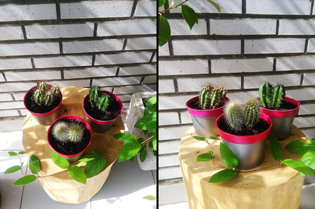 DIY: Maceta neón para cactus