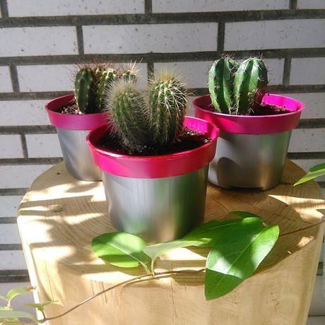 DIY: Maceta neón para cactus
