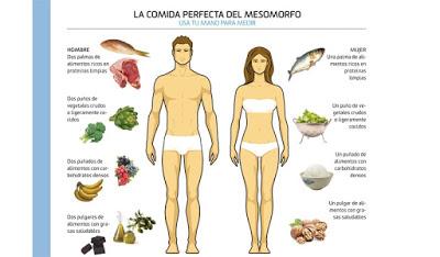Nutricion Deportiva Hoy : Biotipo mesomórfico