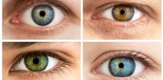 ¿Podríamos heredar ansiedad y depresión de nuestros padres?