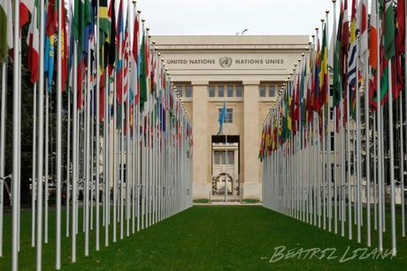 Salut! Wie geht es dir? | Sobre el bilingüismo y los idiomas de Suiza banderas_naciones_unidas