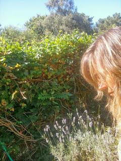 ese rincón mágico donde estamos en comunción con nuestra soledad