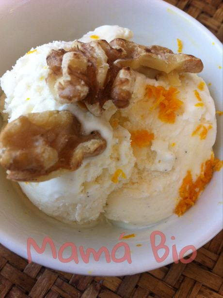 helado-vainilla-mamabio1