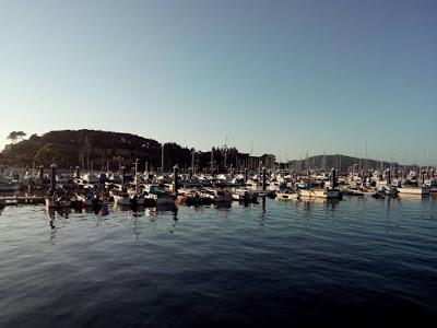 El libro del frío + Atardecer en la Ría de Vigo