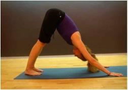 p8 Sūrya Namaskār o saludos al sol en versión libre de yoga