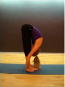 p335 Sūrya Namaskār o saludos al sol en versión libre de yoga