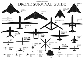 No es difícil imaginar un Drone como un Kamikaze.