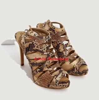 Dña. Letizia en Italia como una estrella de cine