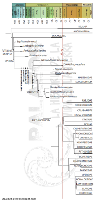 Una serpiente con cuatro patitas