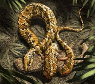 Una serpiente con cuatro patitas