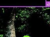 Marguerite Duras. parque