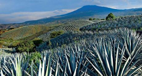 Día Nacional del Tequila