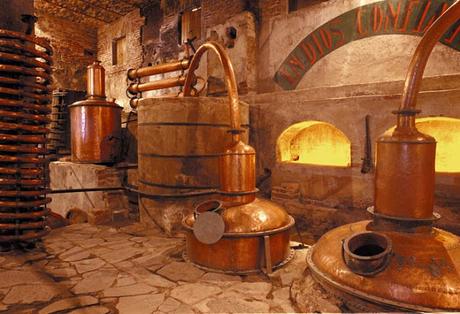 Día Nacional del Tequila