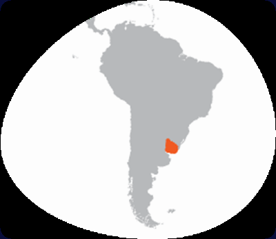 Juegos Panamericanos Toronto 2015: Uruguay.