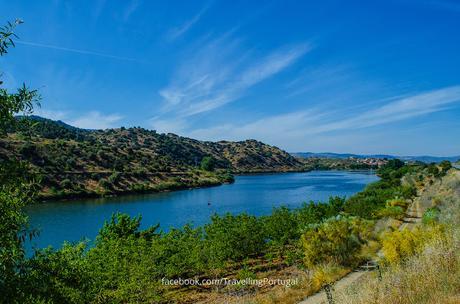rio douro foz do sabor