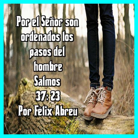 Caminar con el Señor