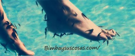 ICTIOTERAPIA. Pedicura Con Peces ICTIOTERAPIA. Pedicura Con Peces