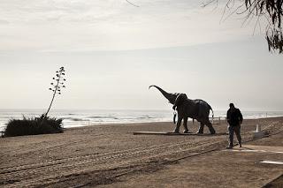 ediciones #FotoPres Caixa