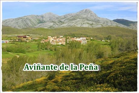 Aviñante de la Peña