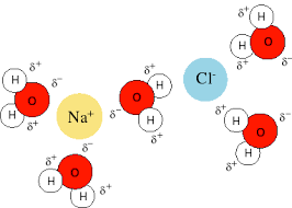 Cinética y termodinámica dos palabras muy usadas en química