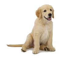 Introducción al enlace químico