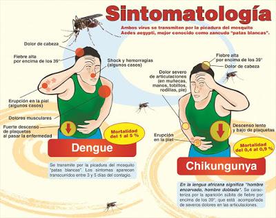 Sintomas del Chikungunya