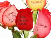 Flores Impresas, Idea Negocios Original