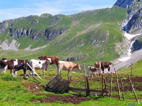 El Parque Nacional Durmitor