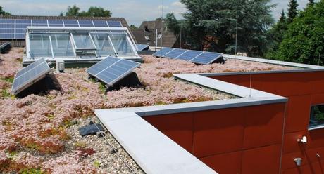 Solar-Greenroof