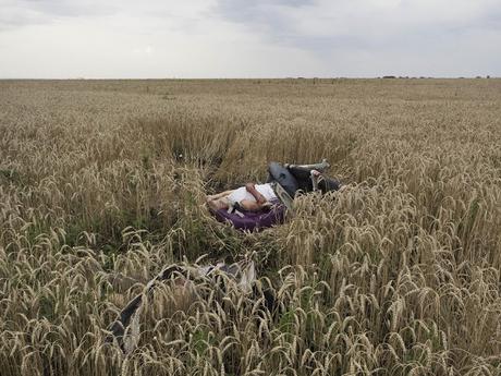 Los ganadores del World Press Photo Contest 2015