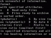 Microsoft publica código fuente MS-DOS Word para Windows