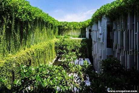 Naman Pure Spa – MIA Design Studio DNG-005- Pure Spa-7