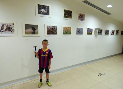 VUELAN LOS POLLOS... Y VUELA LA EXPOSICIÓN