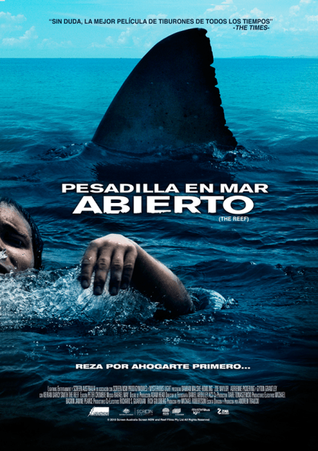 El Arrecife (2010), nadando voy, nadando vengo…