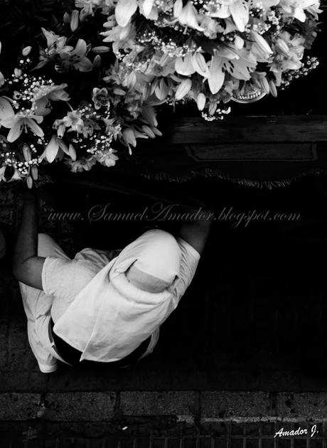 GLORIAS DE ARAHAL 2015