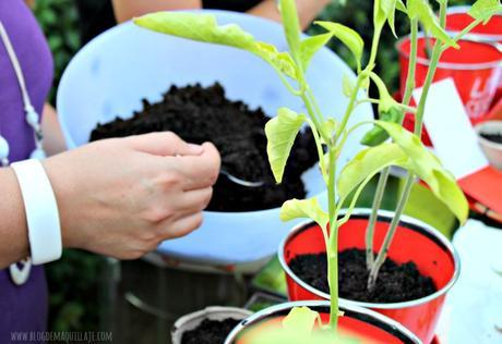 roha-max roha_max_07